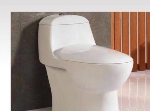 十年衛浴銷售專家揭秘 選對馬桶，潔凈廁所長久無憂